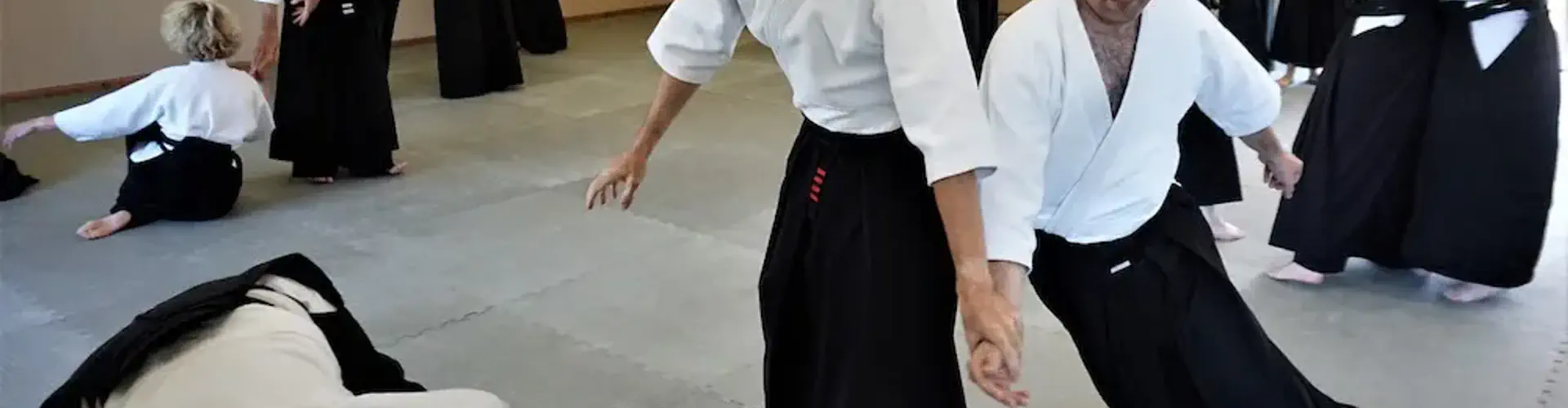 Dorchester Aikido Club