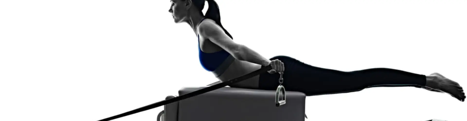 Muscle Joint Bone - Doreen