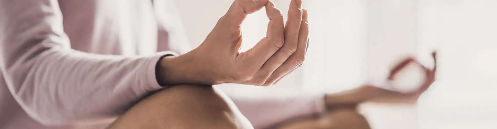 Living Ahimsa ~ Yoga & Ayurveda Wellness Sanctuary