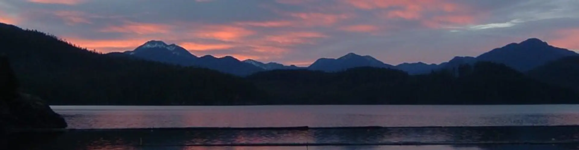Critter Cove Marina