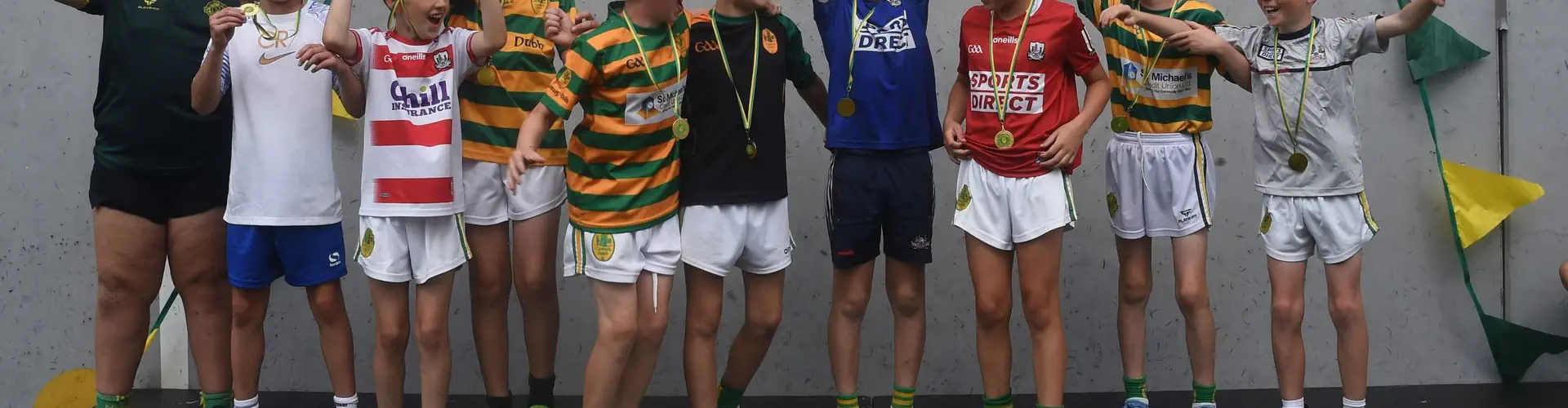 Blackrock National Hurling Club