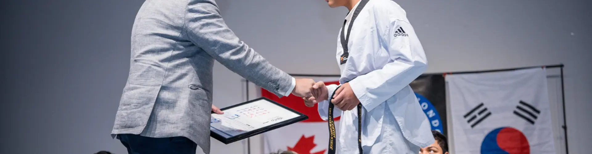 Pro Taekwondo School