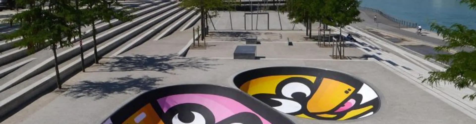 Bowl de la Guillotière