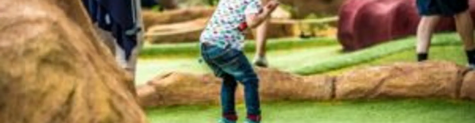 Mr Mulligans Pirate Golf