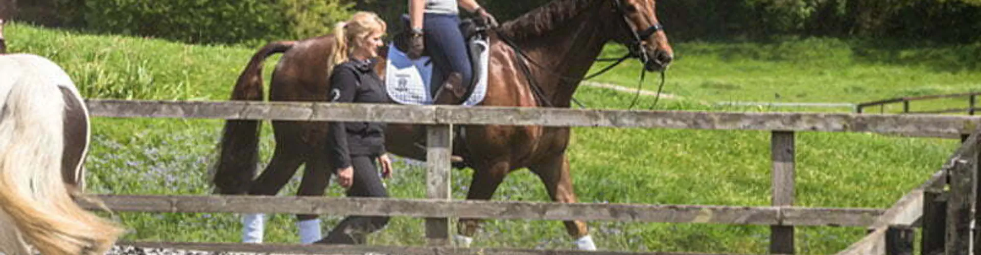 Hallingbury Hall Equestrian Centre