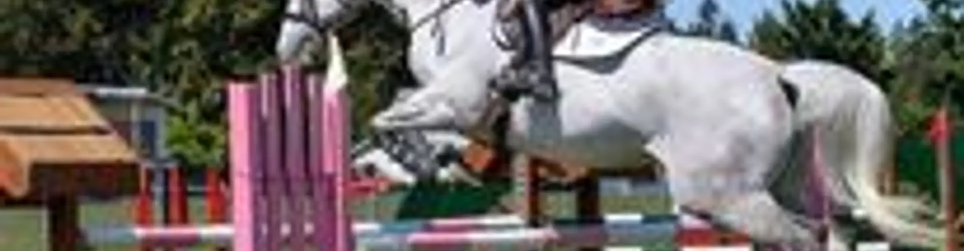 Pink Coat Equestrian | Riding Lessons and Board Victoria BC