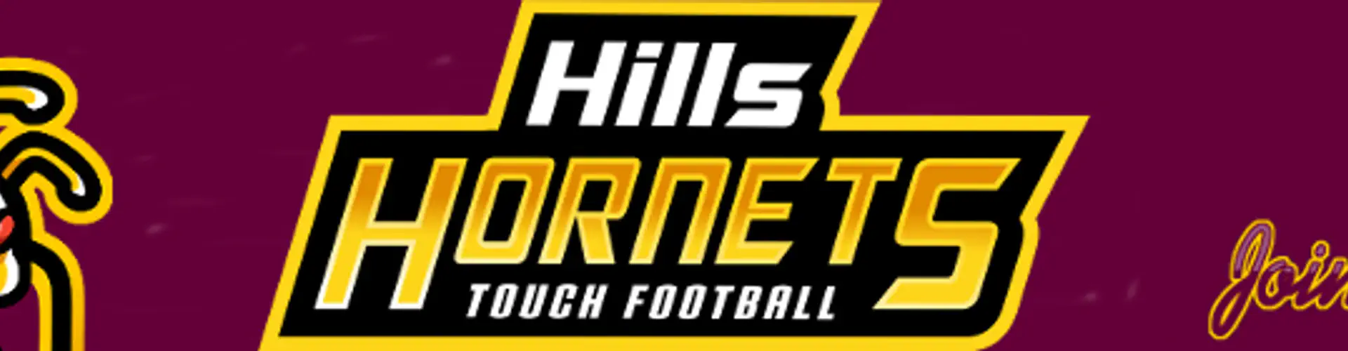 Hills Hornets Touch