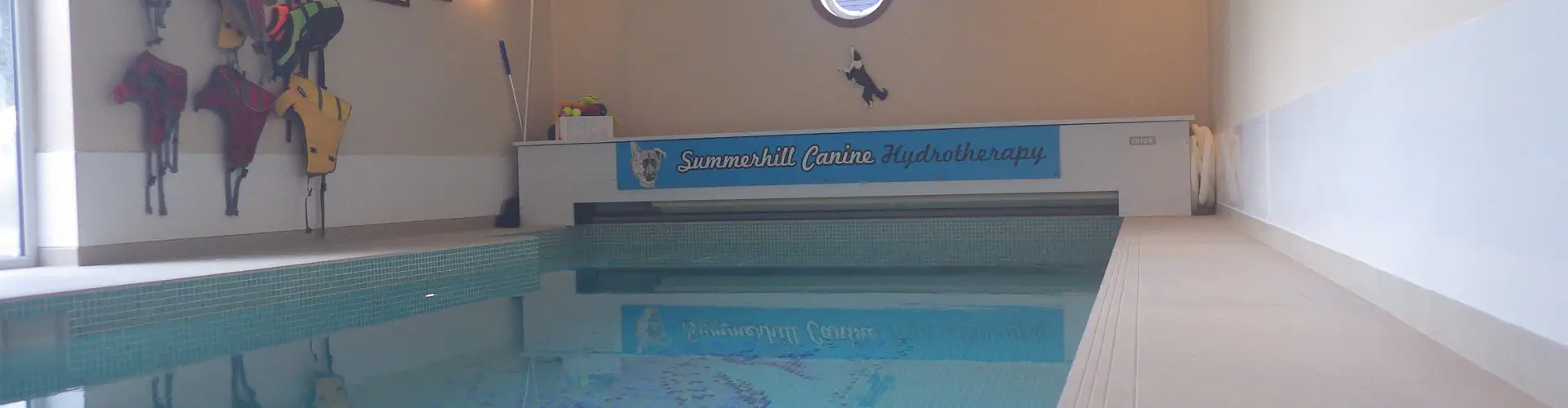 Summerhill Canine Hydrotherapy