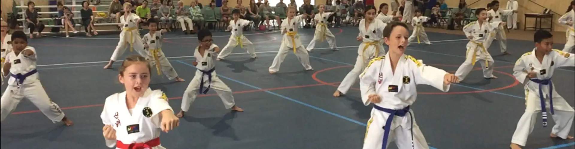 Sun Bae Taekwondo & Hapkido - Newmarket