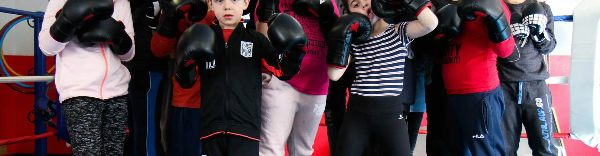 Boxing Club Du Val De L'aurence