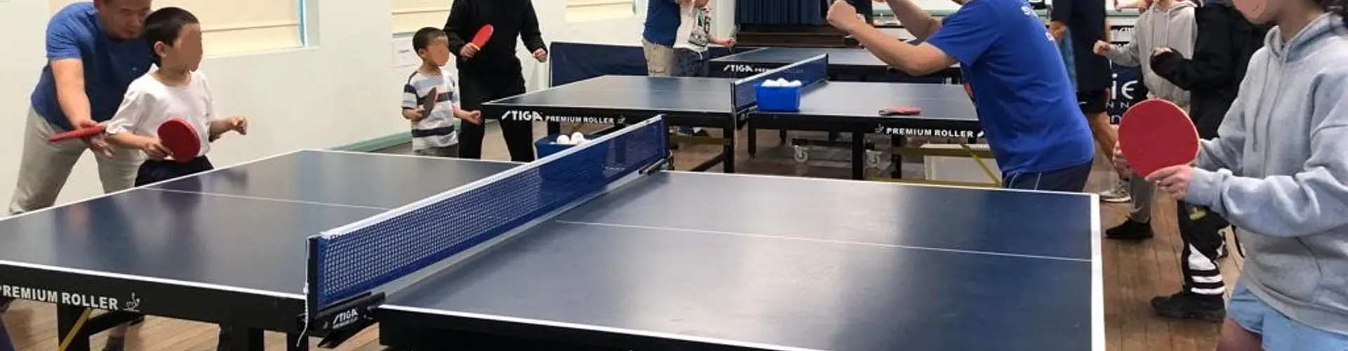 Table Tennis Classes for Adults and Children