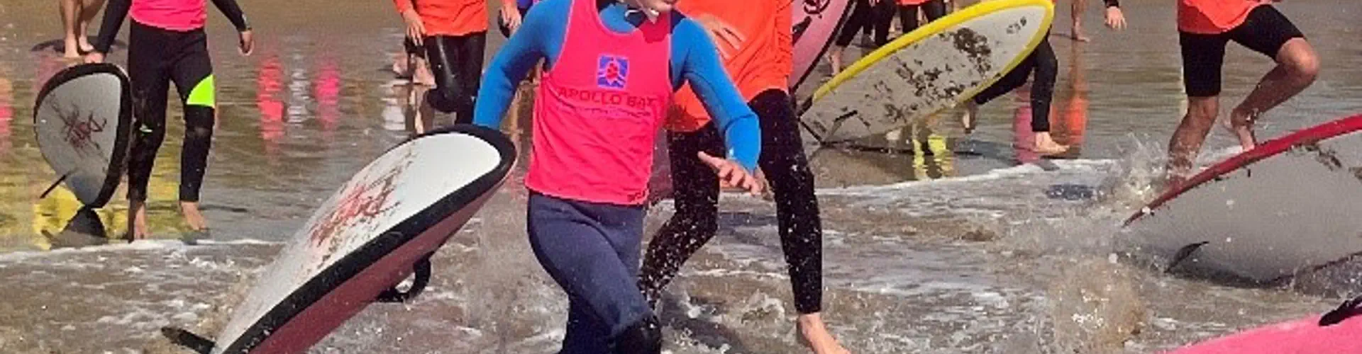 Nippers