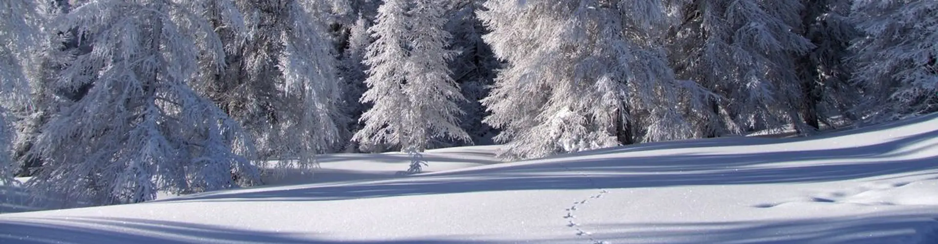 Cours de ski collectif pour adultes