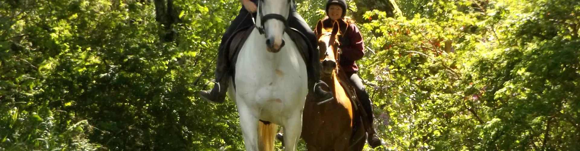 Lunga Riding Stables