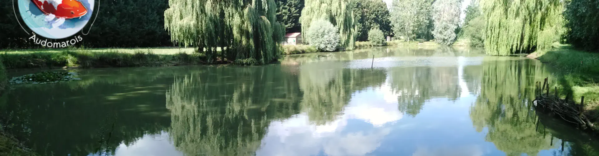 Carpodrome le poisson audomarois