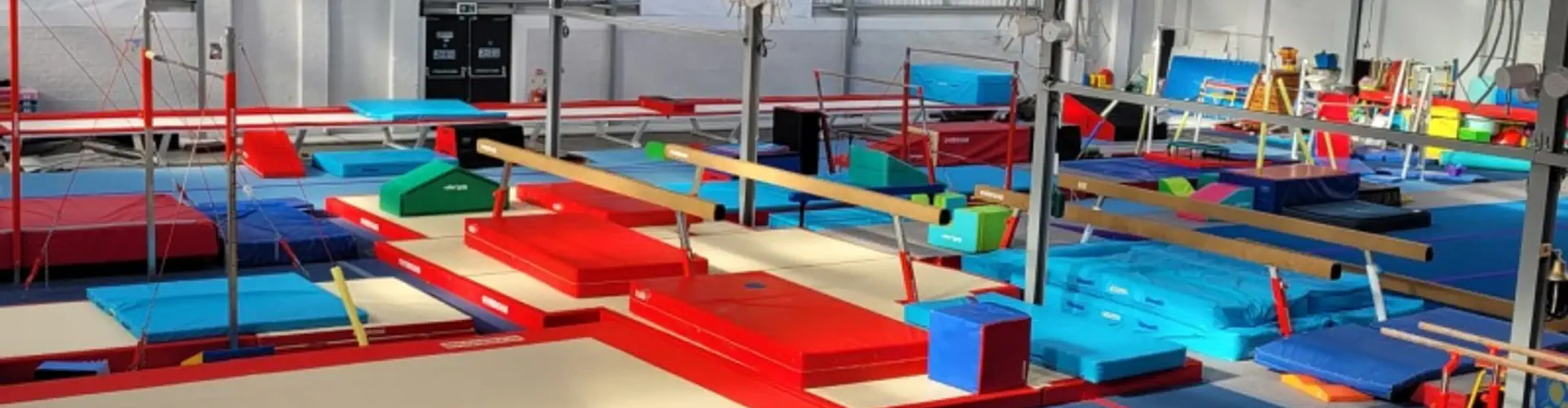 Nile Wilson Gymnastics Rotherham