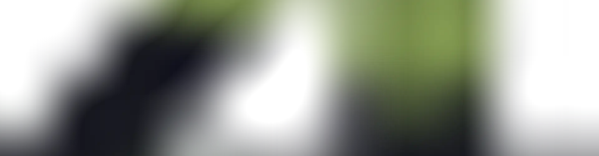 PEGASE