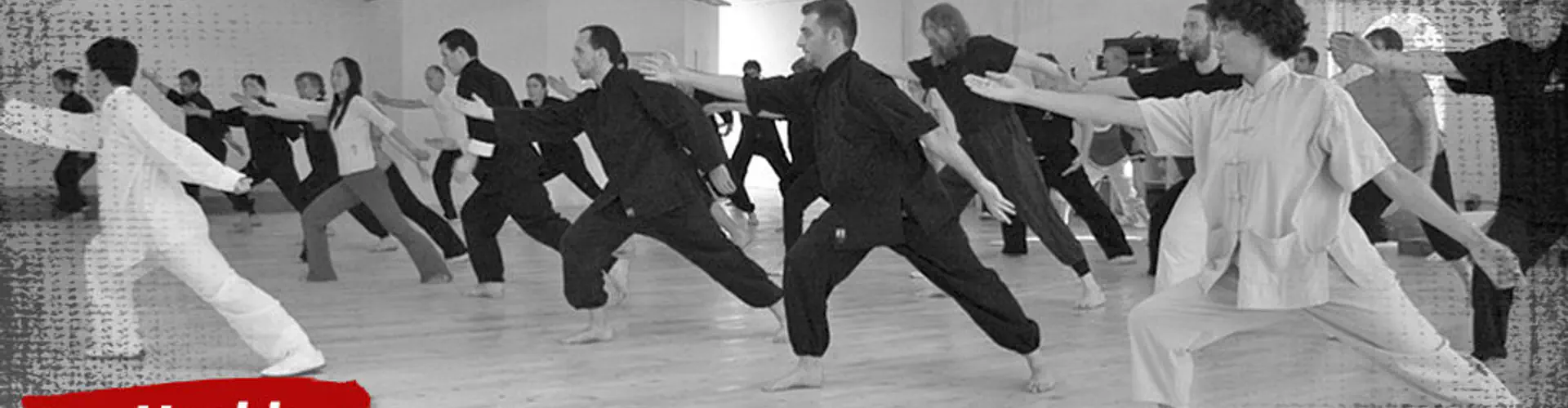 Wu Xing Martial Arts