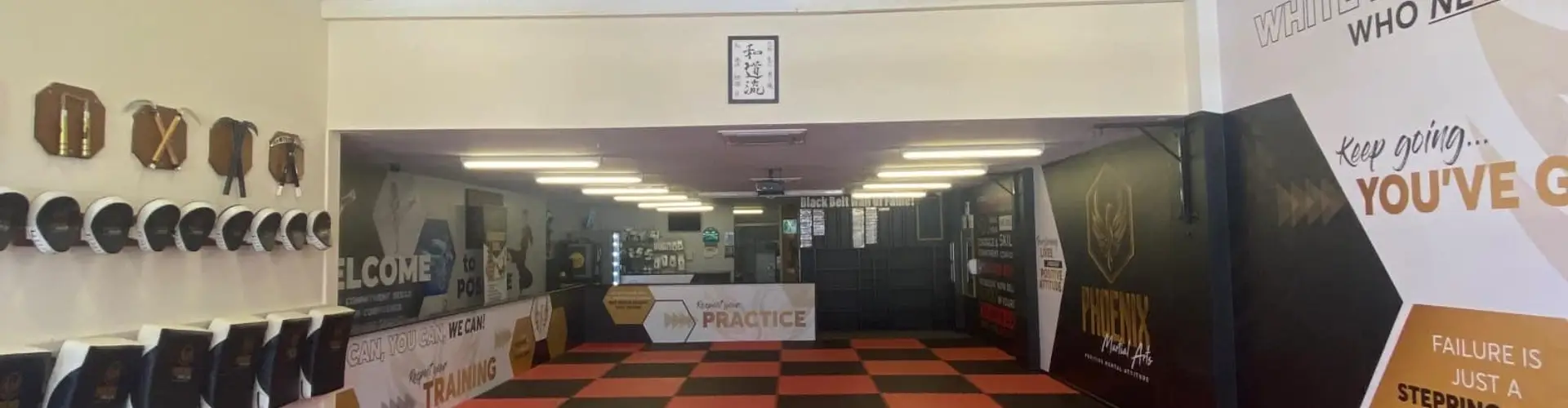Phoenix Martial Arts