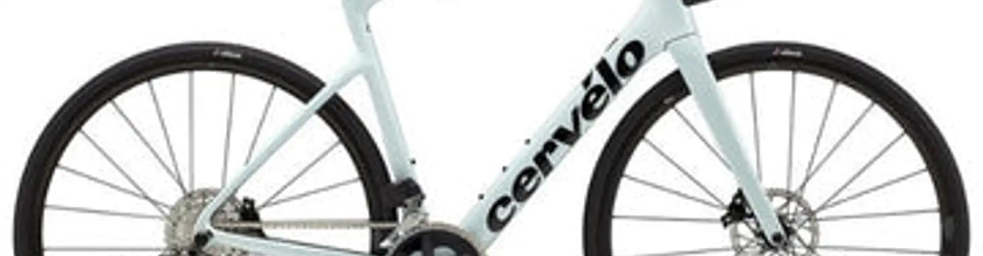 The Bike Affair | Premium Adult Bicycle Shop & Service in Hyderabad