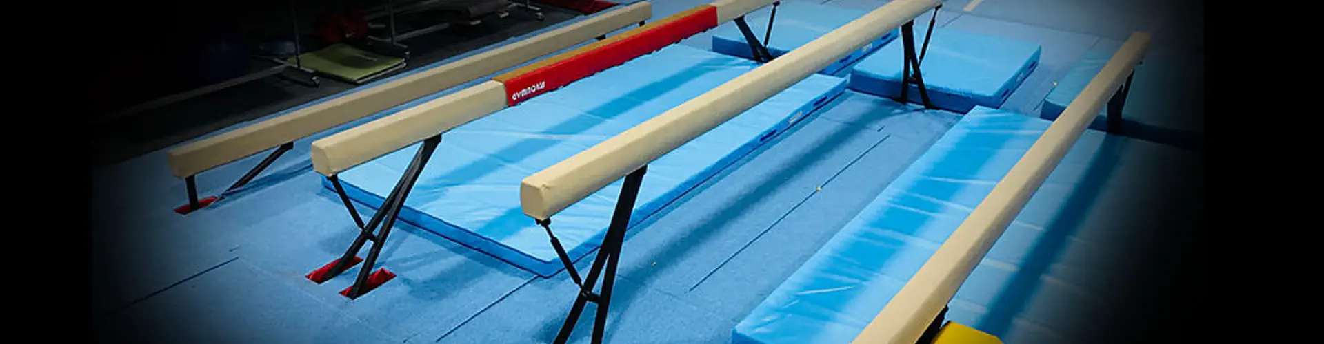 Revolution Gymnastics
