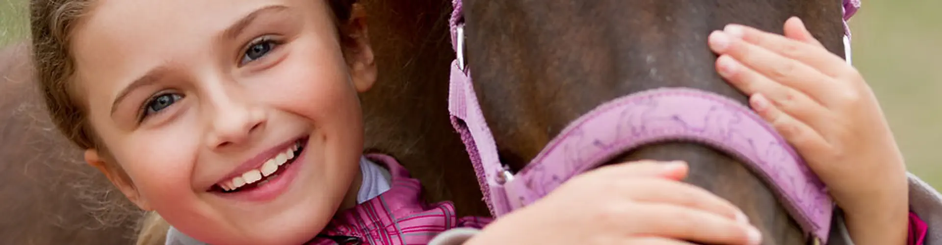 Pinkmead Farm Equestrian Centre