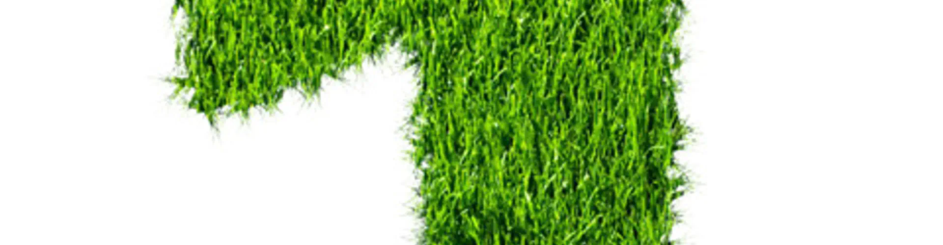 Bottesford FC