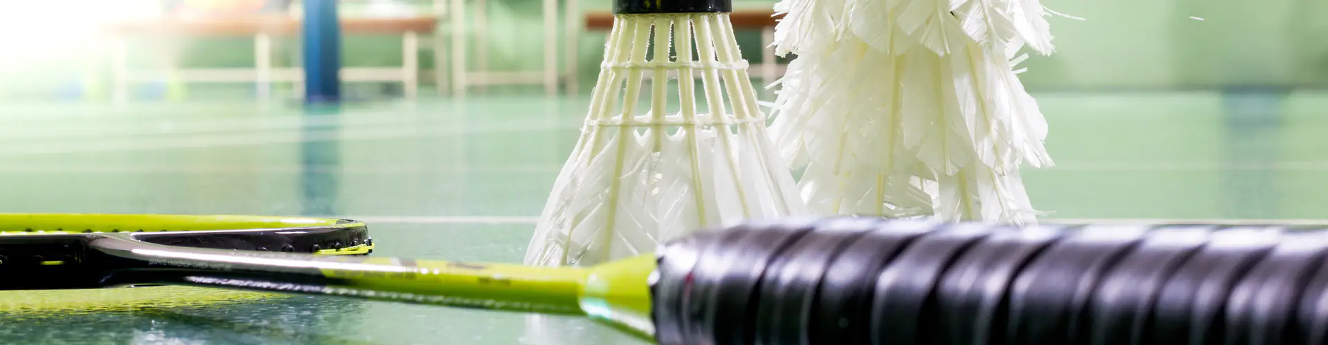 Badminton Western Australia