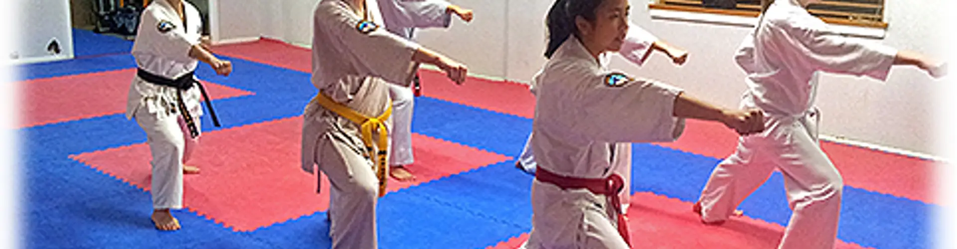 Au International Kyokushin Karate for Adults