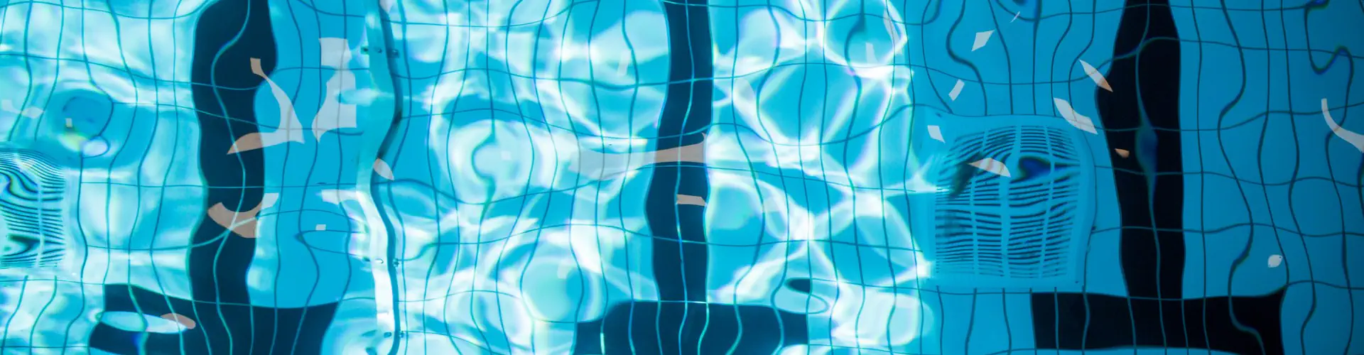Free Swimming