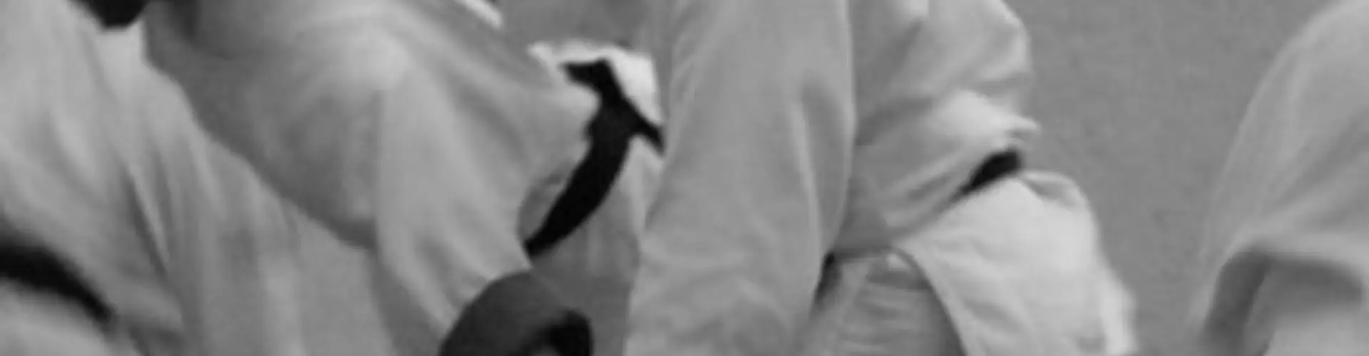 Sussex Sport Aikido Club