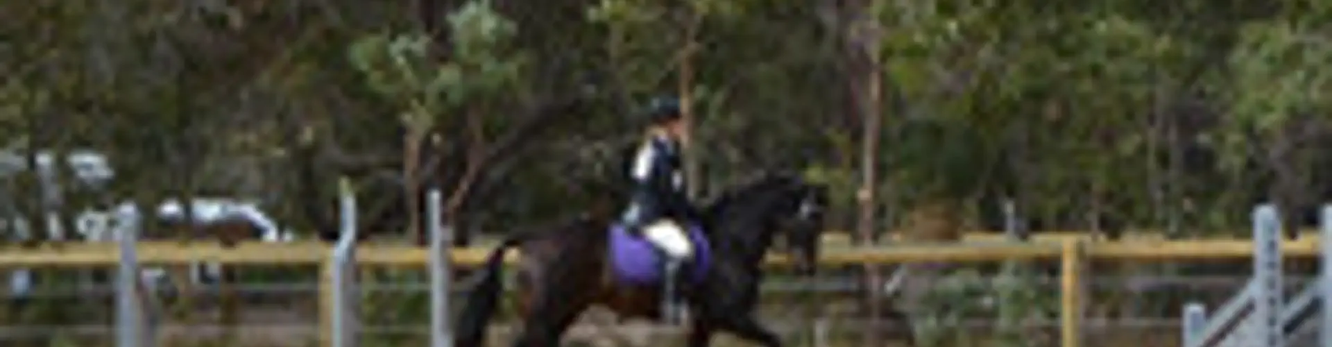 Sandeli Park Equestrian Centre