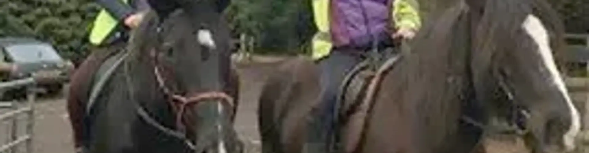 Children's Riding Lessons