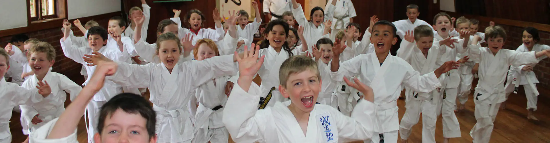 Seido Karate