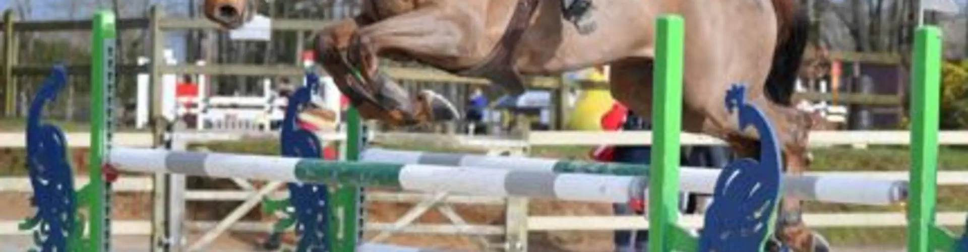 Club Hippique Niortais