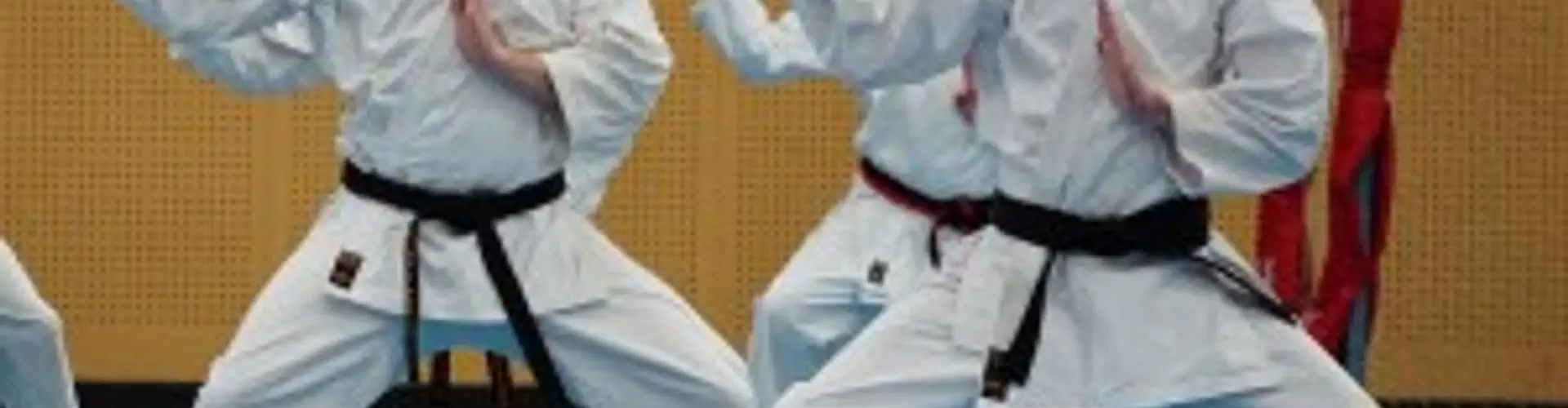 South West Goju-Ryu Karate-Do Association Inc - Mandurah