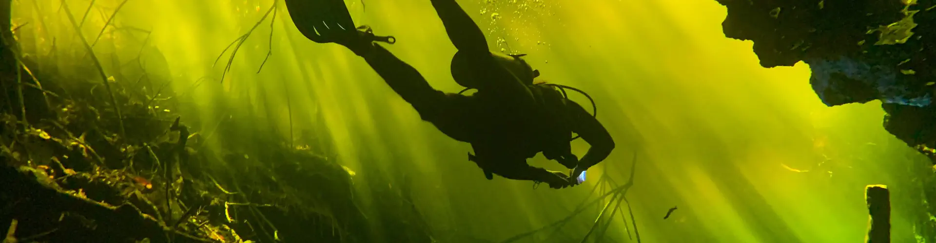 Diveworld Ltd