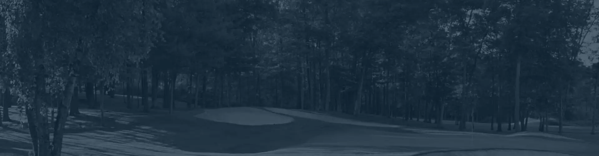 InHome Golf