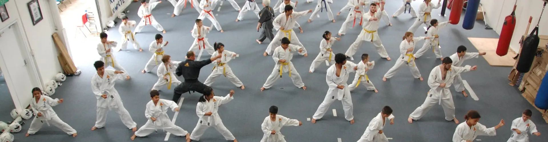 Kempo Ryu International Karate Organisation - Earlwood