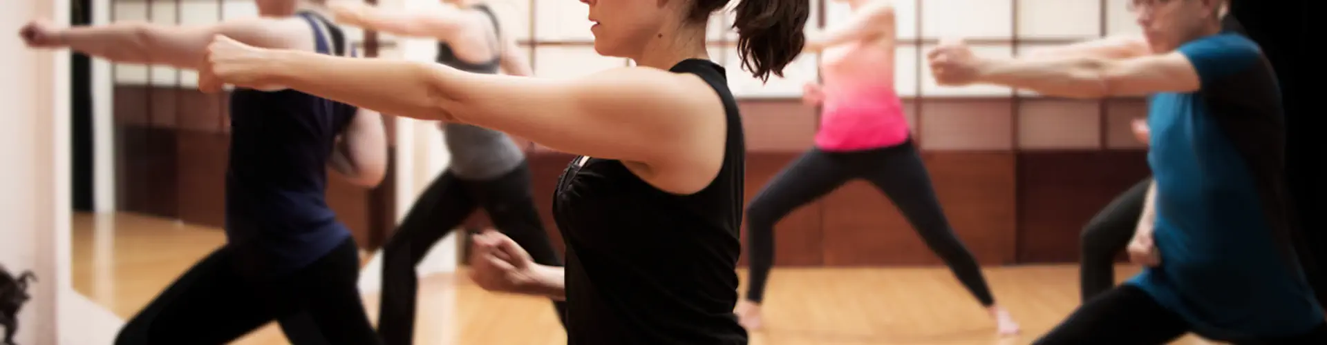 Shadow Hatha Yoga Group & Individual Tuition Classes