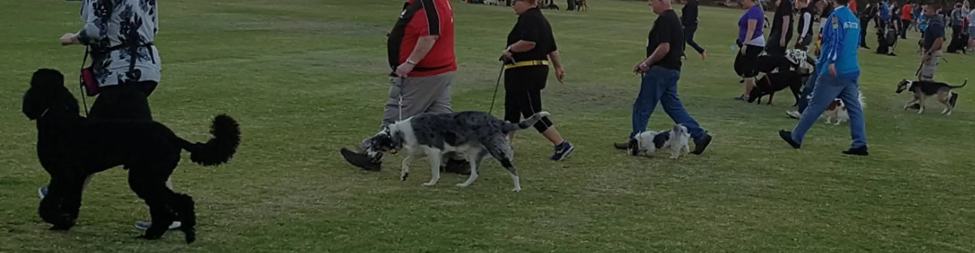 Southern Districts Kennel & Obedience Dog Club Inc.