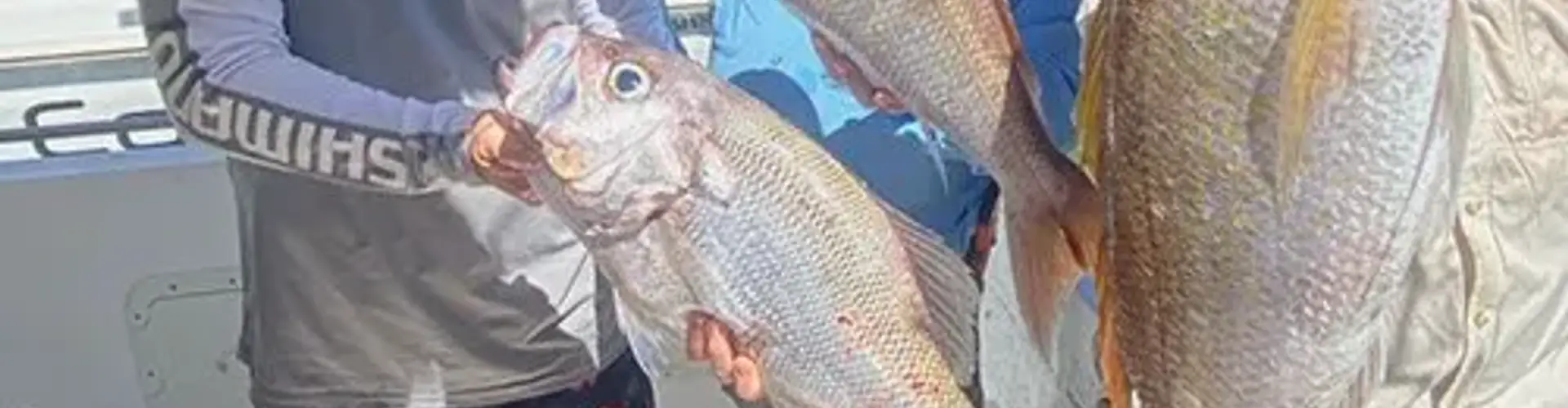 Deep Sea Fishing Co. Sunshine Coast Fishing Charters