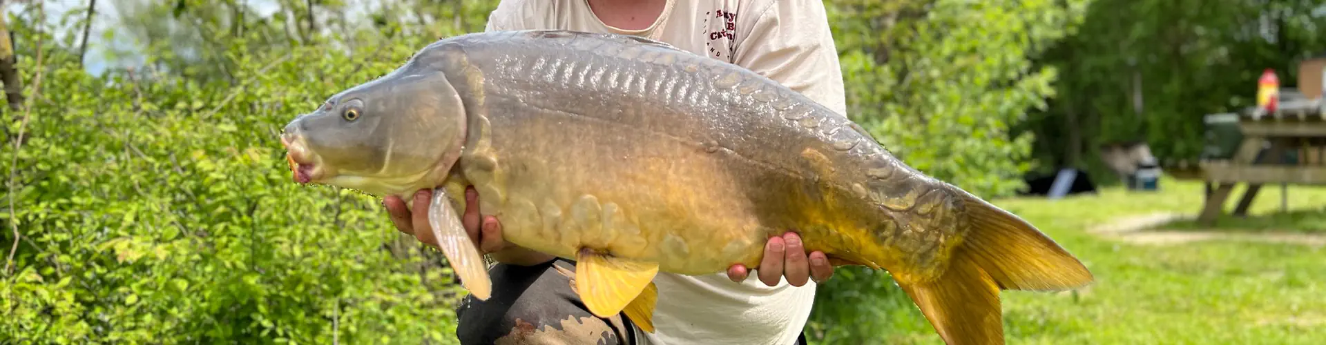 Stevenage Bait and Tackle Ltd