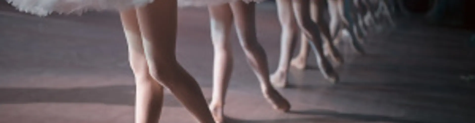 Beginners Ballet Classes Level 1