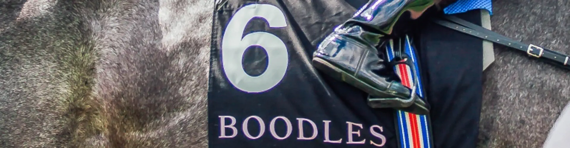 Deepbridge Chester Polo Series 2024