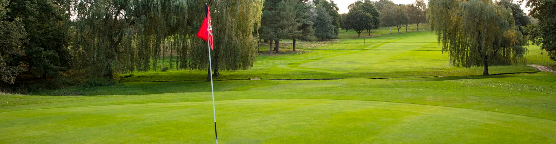 Senior Men's Open (Over 55) Afternoon AM-AM Stroke Play