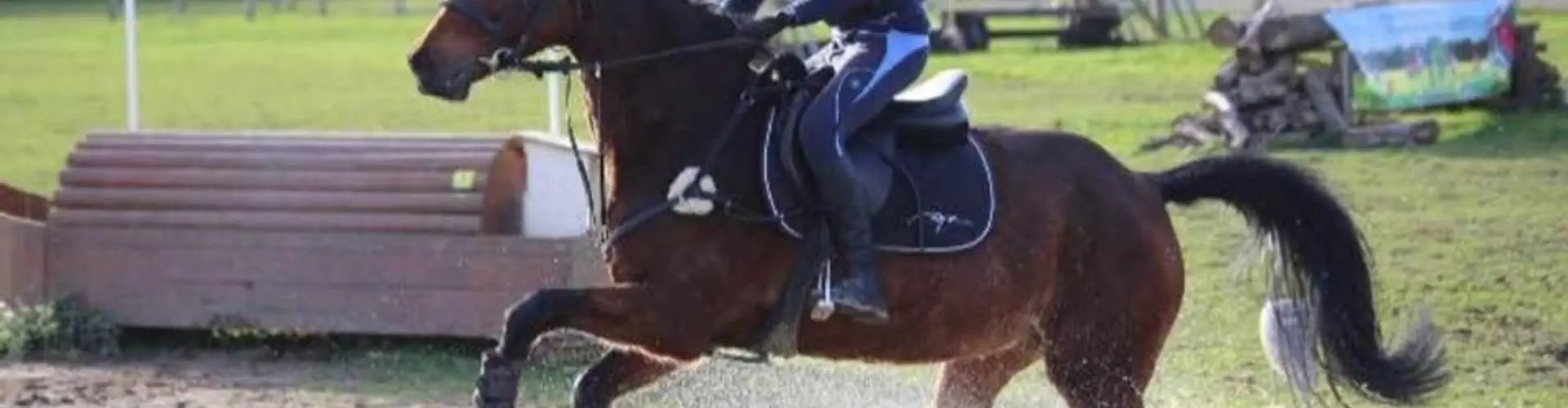 Ecurie Du Verlin