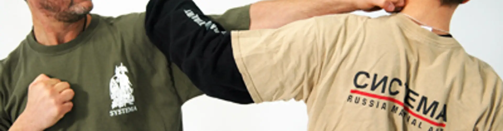 Albi Systema