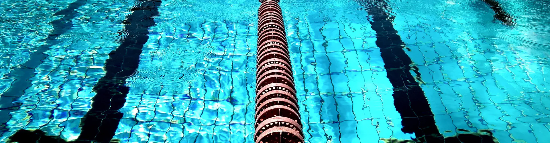 Swim-With-Me - Marks Tey