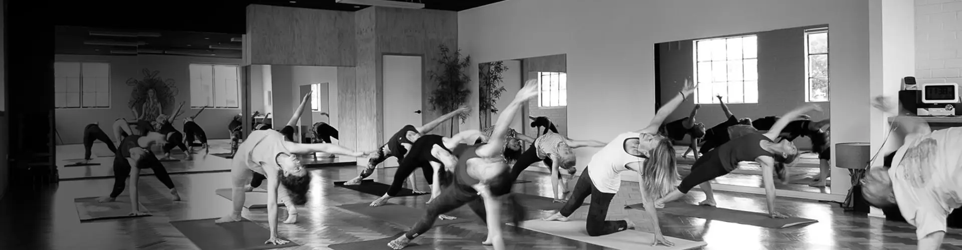 Ancestral Voices Forrest Yoga Workshop series